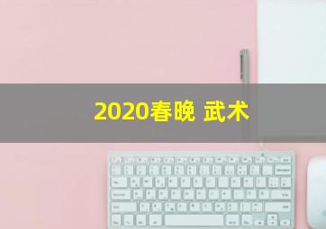 2020春晚 武术